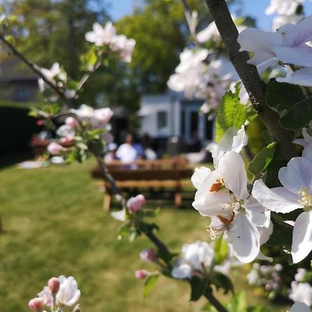 B&B De Koffietuin Беекберген Екстериор снимка